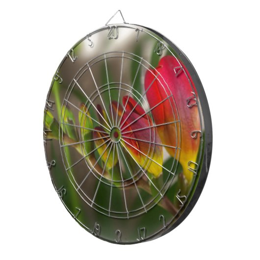 donkerrode diepte dartbord (Voorkant Rechts)