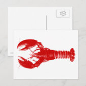 Donkerrode Zeekreeft op Wit Briefkaart (Voorkant / Achterkant)