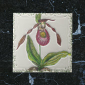  donkerrood dame slipper orchidee botanisch tegeltje