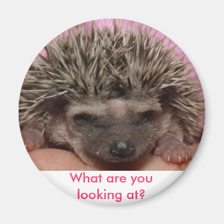 donkerroze 3, waar kijk je naar? magneet