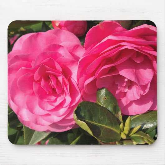 Donkerroze Camellia Flowers Muismat (Voorkant)