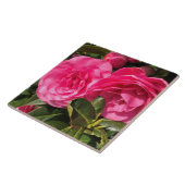 Donkerroze Camellia Flowers Tegeltje (Zijkant)