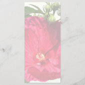 Donkerroze Hibiscus Menu (Achterkant)