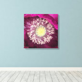 Donkerroze oosterse klaproos bloem canvas afdruk (Insitu (Houten vloer))
