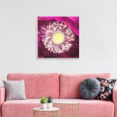 Donkerroze oosterse klaproos bloem canvas afdruk (Insitu (Woonkamer))