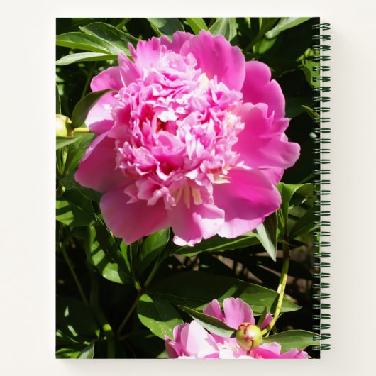 Donkerroze pinda's notitieboek (Achterkant)