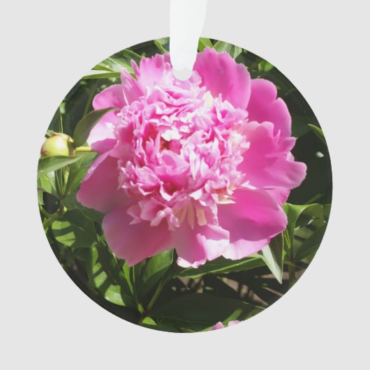 Donkerroze pinda's ornament (voorkant)