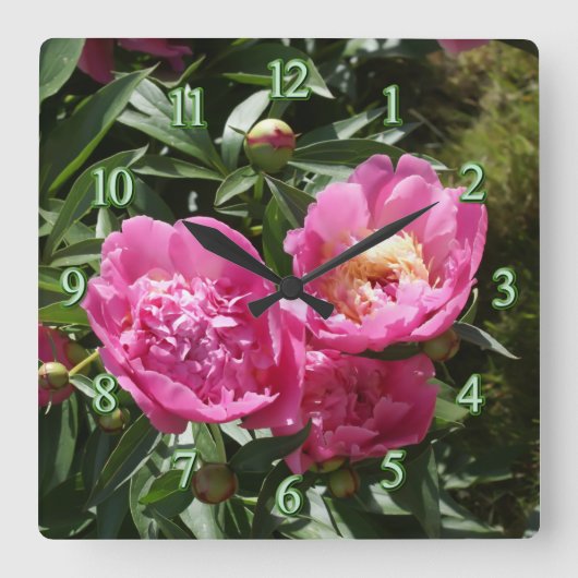 Donkerroze pinda's vierkante klok (Voorkant)