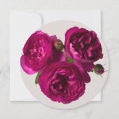 Donkerroze rozen rozen roantic sparen de datum van kaart (Achterkant)