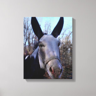 Donkerschilderen Canvas Afdruk