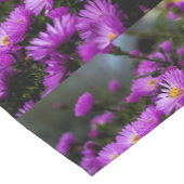 donkerviolettafelblad korte tafelloper (Hoek)