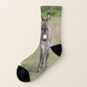 Donkey (Gauche - extérieur)