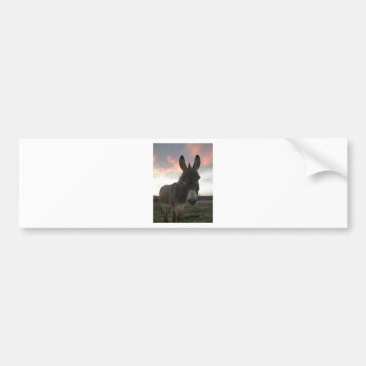 Donkey Art Bumpersticker (Voorkant)