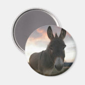 Donkey Art Magneet (Voorkant / Achterkant)