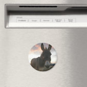 Donkey Art Magneet (Insitu (Vaatwasser))