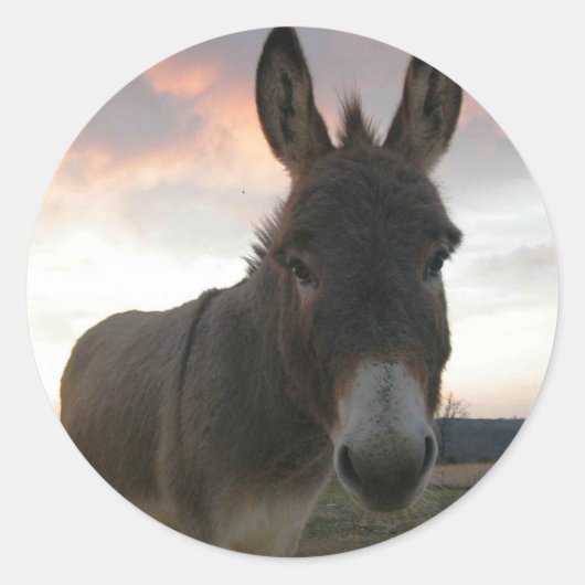 Donkey Art Ronde Sticker (Voorkant)