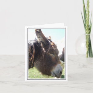 Donkey Blank Note Card Kaart