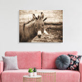 Donkey Canvas Afdruk (Insitu (Woonkamer))