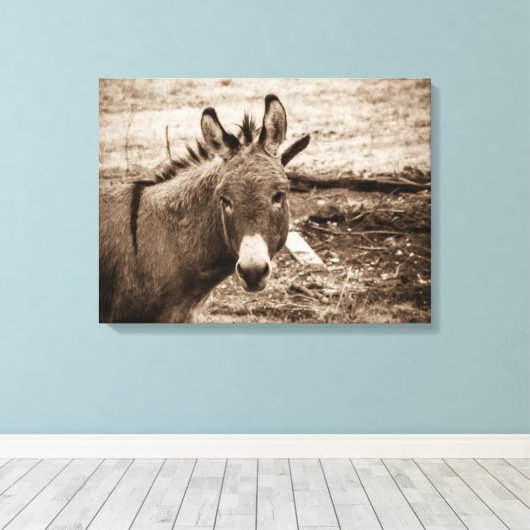 Donkey Canvas Afdruk (Insitu (Houten vloer))