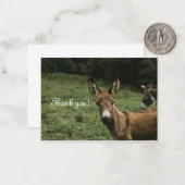 Donkey Carte de remerciements (Devant/Arrière en situation)