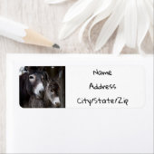 ***DONKEY COUPLE*** RETURADRES ETIKET (Insitu)