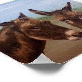 Donkey Double Poster (Hoek)