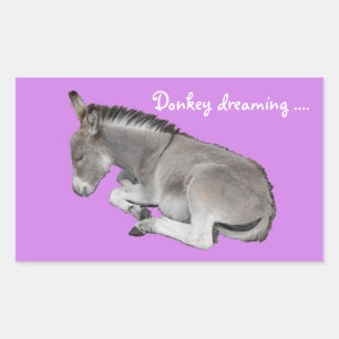 Donkey droomt schattige baby ezel rechthoekige sticker