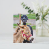 Donkey en lama briefkaart (Staand voorkant)