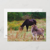 Donkey en paard in een Herfst veld. Briefkaart (Voorkant / Achterkant)