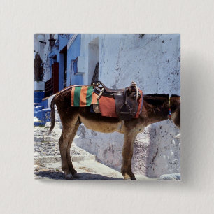 Donkey, Fira Santorini, Griekenland Vierkante Button 5,1 Cm