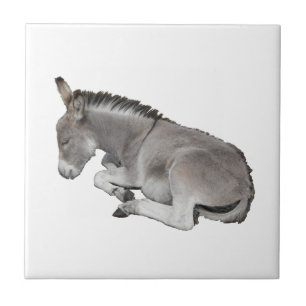 Donkey Foal Tegeltje