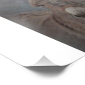 Donkey Foto Afdruk (Hoek)