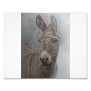 Donkey Foto Afdruk