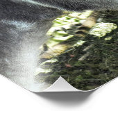 DONKEY FOTO AFDRUK (Hoek)