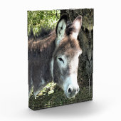 DONKEY FOTOBLOKKEN (Links)