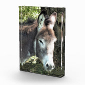DONKEY FOTOBLOKKEN (Rechts)