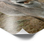 Donkey Gekke Face Foto Afdruk (Hoek)