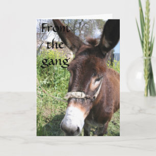 DONKEY GROUP BIRTHDAY WISHES KAART