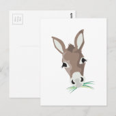 Donkey Head Briefkaart (Voorkant / Achterkant)