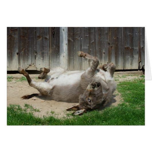 Donkey heeft een weg (Voorkant Horizontaal)