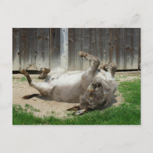 Donkey heeft een weg briefkaart