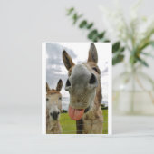 Donkey Humor Briefkaart (Staand voorkant)