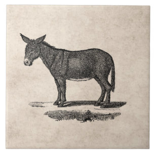  Donkey Illustration - Donkeys 1800 Tegeltje