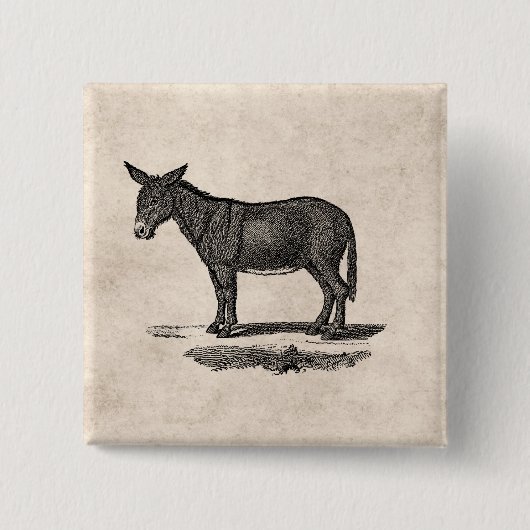 Donkey Illustration - Donkeys 1800 Vierkante Button 5,1 Cm (Voorkant)