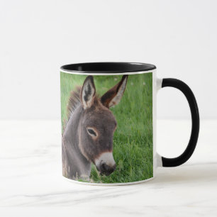 Donkey in de gras mok