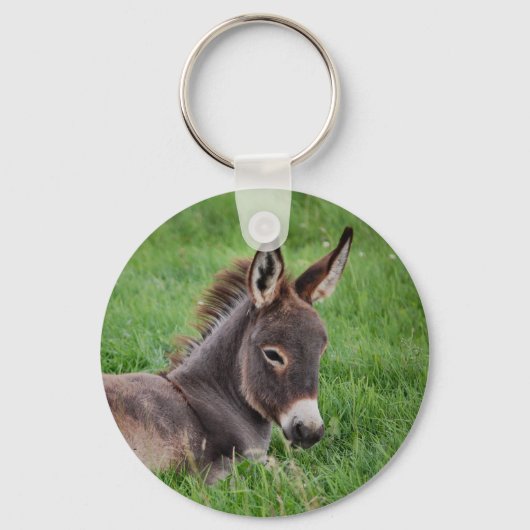 Donkey in de gras sleutelhanger (Voorkant)