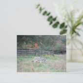 Donkey in een Herfst herfst veld. Briefkaart (Staand voorkant)