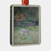 Donkey in een Herfst herfst veld. Metalen Ornament (Rechts)