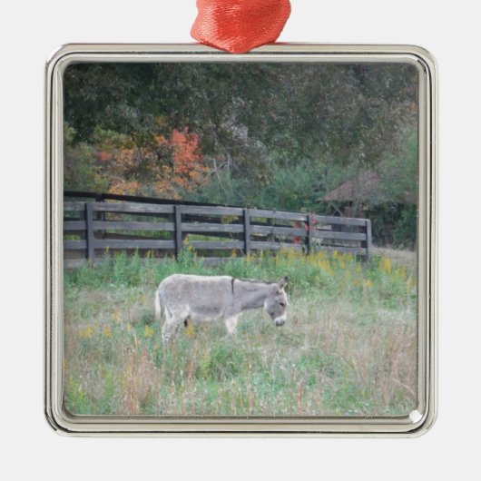 Donkey in een Herfst herfst veld. Metalen Ornament (Voorkant)