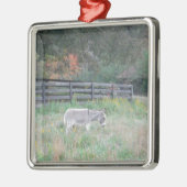 Donkey in een Herfst herfst veld. Metalen Ornament (Links)